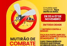 Combate a Dengue