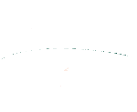 LOGO_BRANCO